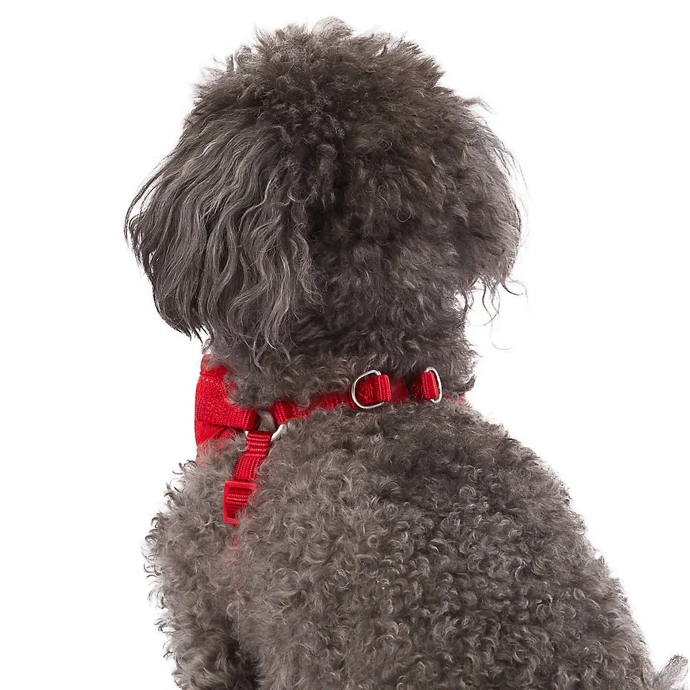 3pc SET Top Paw Mesh Comfort Step-In Small Dog or Cat Harness in Red - Picture 4 of 11